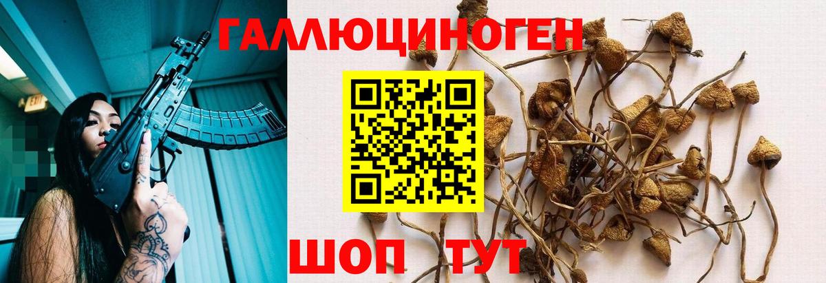 Стерлитамак  Псилоцибиновые грибы Psilocybine cubensis  Псилоцибиновые грибы ЛСД  Вход с VPN 